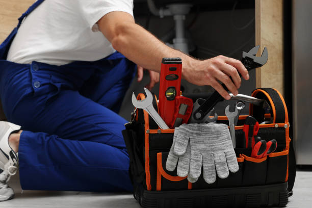 Best Plumbing Inspection Services  in Canadian Lakes, MI