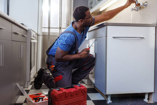 Best Affordable Plumber Near Me  in Canadian Lakes, MI