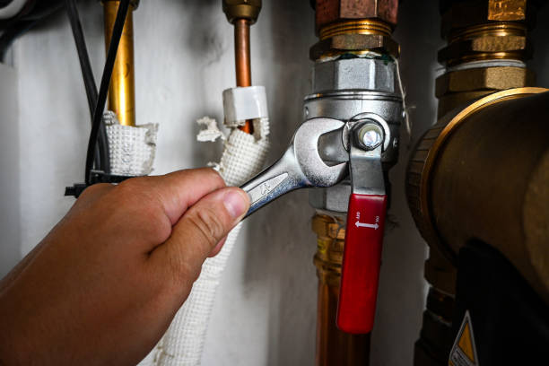 Best Best Plumbers Near Me  in Canadian Lakes, MI